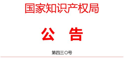 專利代理師與知識產權專業最全解讀 打造廣告制作的黃金護城河
